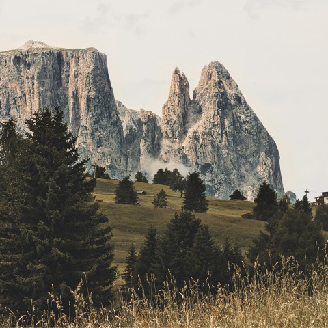 wild o’williams Seiser Alm – Besonder Ausblicke mit besonderem Panorama Panoramabild vom Schlern